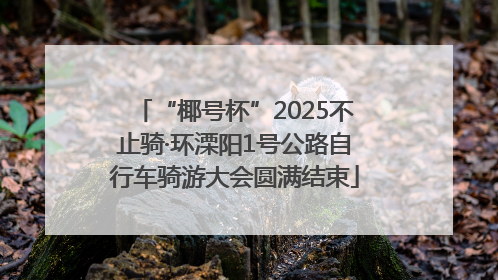 “椰号杯”2025不止骑·环溧阳1号公路自行车骑游大会圆满结束