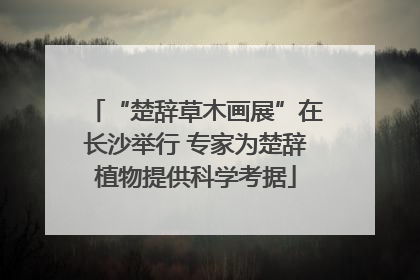 “楚辞草木画展”在长沙举行 专家为楚辞植物提供科学考据