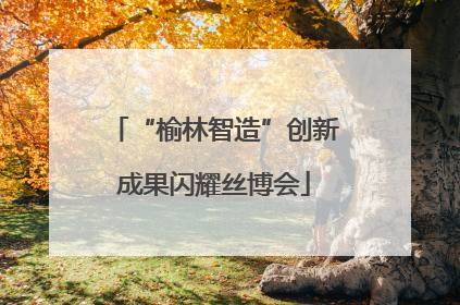 “榆林智造”创新成果闪耀丝博会