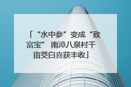 “水中参”变成“致富宝” 南漳八泉村千亩茭白喜获丰收