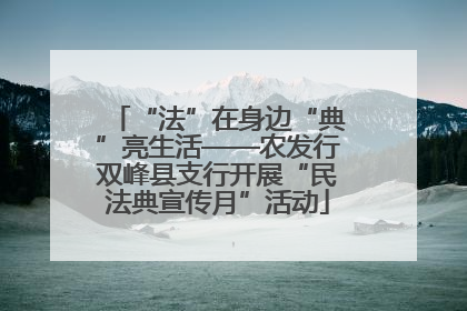 “法”在身边“典”亮生活——农发行双峰县支行开展“民法典宣传月”活动