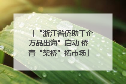“浙江省侨助千企万品出海”启动 侨青“架桥”拓市场