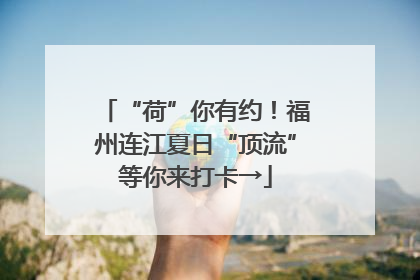 “荷”你有约！福州连江夏日“顶流”等你来打卡→
