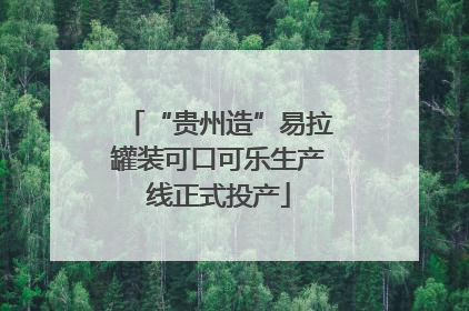 “贵州造”易拉罐装可口可乐生产线正式投产