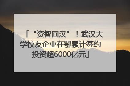 “资智回汉”！武汉大学校友企业在鄂累计签约投资超6000亿元