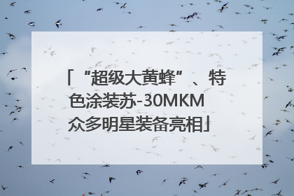 “超级大黄蜂”、特色涂装苏-30MKM 众多明星装备亮相