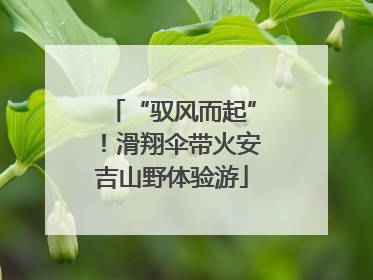 “驭风而起”！滑翔伞带火安吉山野体验游