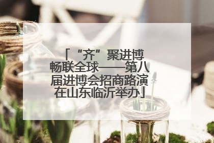 “齐”聚进博 畅联全球——第八届进博会招商路演在山东临沂举办