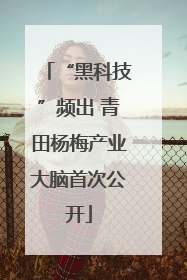 “黑科技”频出 青田杨梅产业大脑首次公开