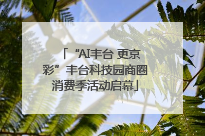 “AI丰台 更京彩”丰台科技园商圈消费季活动启幕