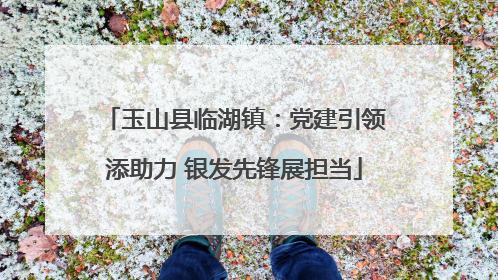 玉山县临湖镇：党建引领添助力 银发先锋展担当