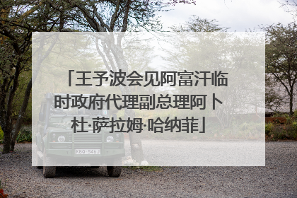 王予波会见阿富汗临时政府代理副总理阿卜杜·萨拉姆·哈纳菲