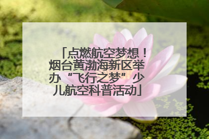 点燃航空梦想！烟台黄渤海新区举办“飞行之梦”少儿航空科普活动