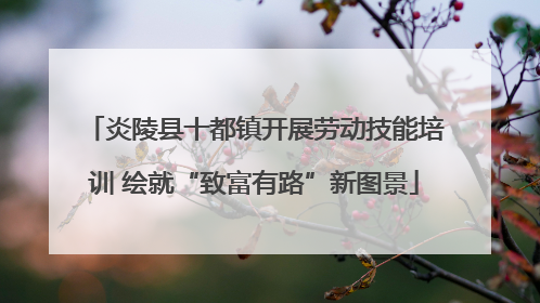 炎陵县十都镇开展劳动技能培训 绘就“致富有路”新图景