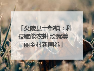 炎陵县十都镇：科技赋能农耕 绘就美丽乡村新画卷