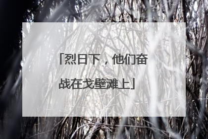 烈日下，他们奋战在戈壁滩上