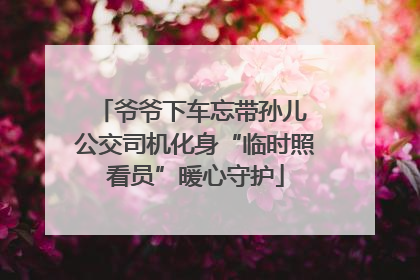 爷爷下车忘带孙儿 公交司机化身“临时照看员”暖心守护