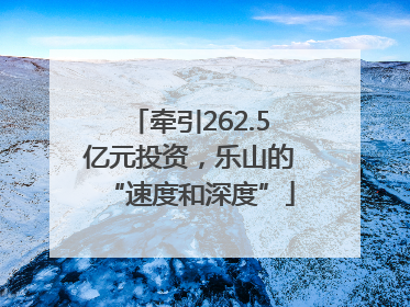 牵引262.5亿元投资，乐山的“速度和深度”