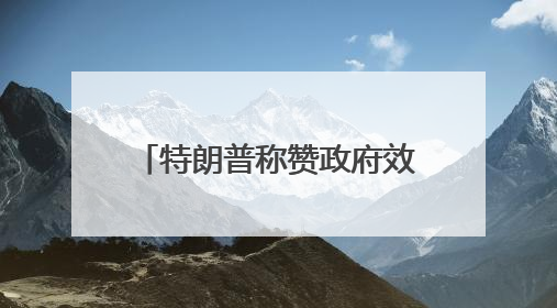 特朗普称赞政府效率部成就 马斯克离任后将成总统顾问