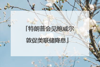 特朗普会见鲍威尔 敦促美联储降息