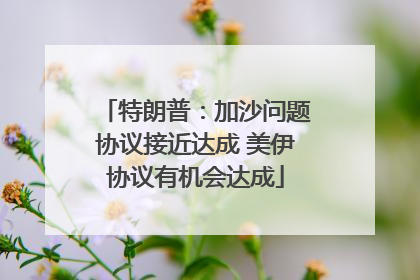 特朗普：加沙问题协议接近达成 美伊协议有机会达成