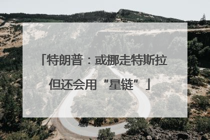 特朗普：或挪走特斯拉 但还会用“星链”