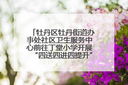 牡丹区牡丹街道办事处社区卫生服务中心前往丁堂小学开展“四送四进四提升”及无烟日宣传活动