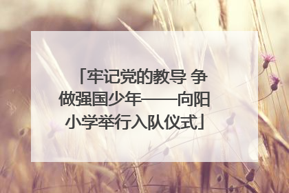 牢记党的教导 争做强国少年——向阳小学举行入队仪式