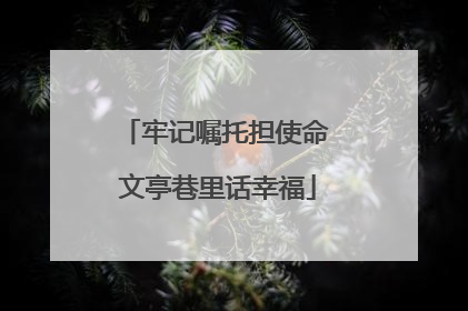 牢记嘱托担使命 文亭巷里话幸福
