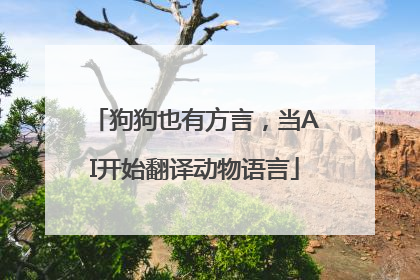 狗狗也有方言，当AI开始翻译动物语言