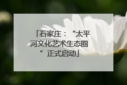 石家庄：“太平河文化艺术生态圈”正式启动