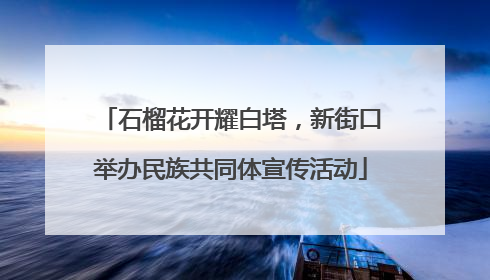 石榴花开耀白塔，新街口举办民族共同体宣传活动