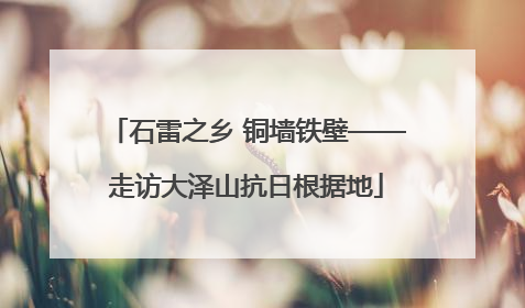 石雷之乡 铜墙铁壁——走访大泽山抗日根据地