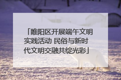 睢阳区开展端午文明实践活动 民俗与新时代文明交融共绽光彩