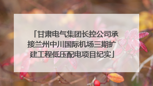 甘肃电气集团长控公司承接兰州中川国际机场三期扩建工程低压配电项目纪实