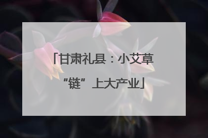 甘肃礼县：小艾草“链”上大产业