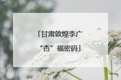 甘肃敦煌李广“杏”福密码