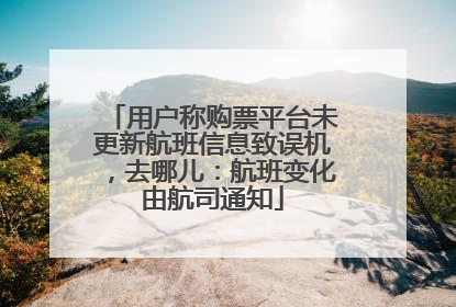 用户称购票平台未更新航班信息致误机，去哪儿：航班变化由航司通知