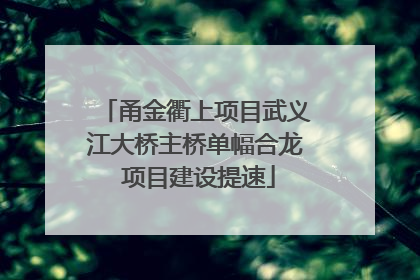 甬金衢上项目武义江大桥主桥单幅合龙 项目建设提速