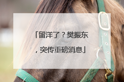 留洋了？樊振东，突传重磅消息