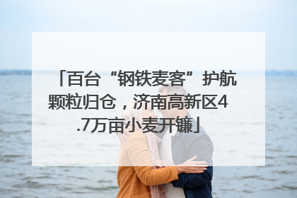 百台“钢铁麦客”护航颗粒归仓，济南高新区4.7万亩小麦开镰