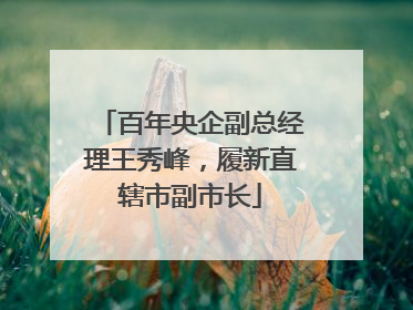 百年央企副总经理王秀峰，履新直辖市副市长
