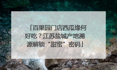 百果园门店西瓜缘何好吃？江苏盐城产地溯源解锁“甜蜜”密码