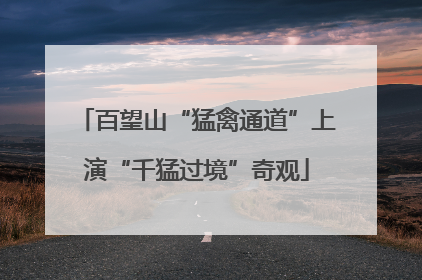 百望山“猛禽通道”上演“千猛过境”奇观