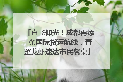 直飞仰光！成都再添一条国际货运航线，青蟹龙虾速达市民餐桌