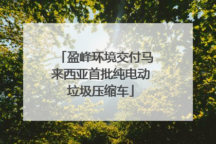 盈峰环境交付马来西亚首批纯电动垃圾压缩车