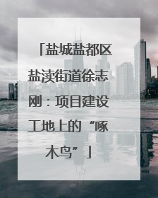 盐城盐都区盐渎街道徐志刚：项目建设工地上的“啄木鸟”