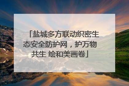 盐城多方联动织密生态安全防护网，护万物共生 绘和美画卷