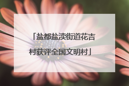 盐都盐渎街道花吉村获评全国文明村