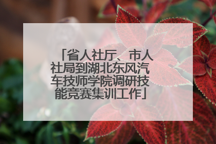 省人社厅、市人社局到湖北东风汽车技师学院调研技能竞赛集训工作